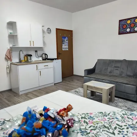 Apartament Valterova *